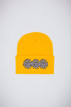 Load image into Gallery viewer, Fucking Awesome 3 Spiral Cuff Beanie
