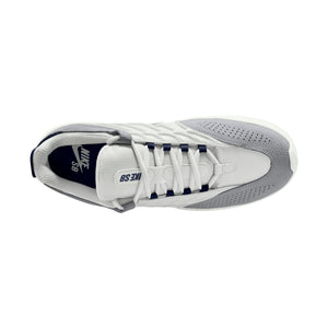 Nike SB Vertebrae-Platinum Tint/Midnight Navy
