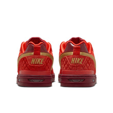 Load image into Gallery viewer, Nike SB Paul Rodriguez Zoom Air Low QS - “All Star Weekend”
