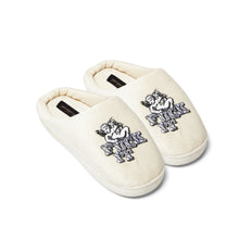 Load image into Gallery viewer, HUF Divine Slippers
