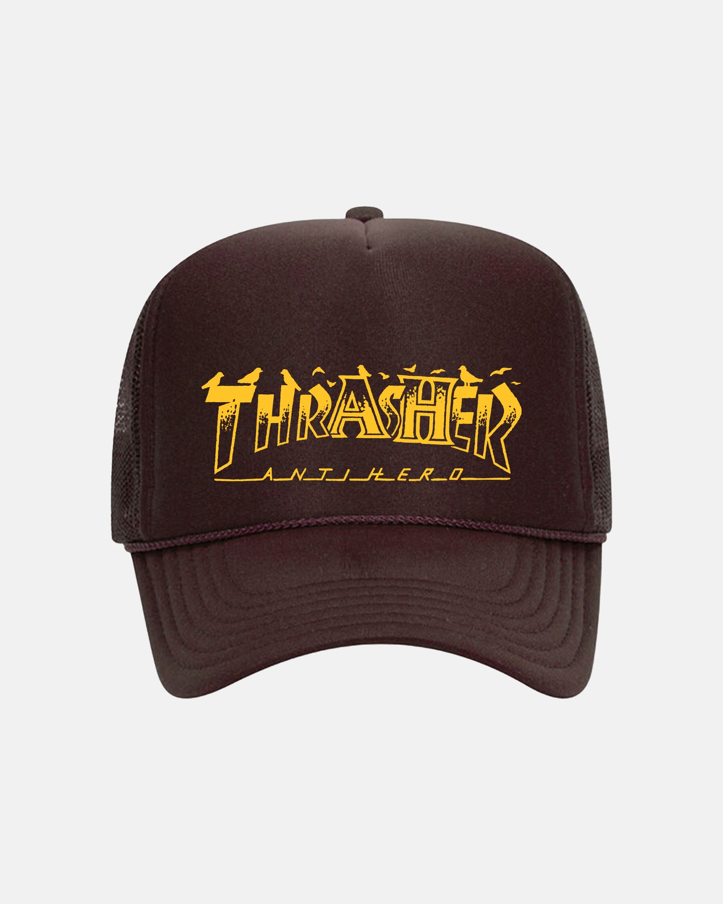 Anti Hero x Thrasher Pigeon Mag Trucker Hat-Brown